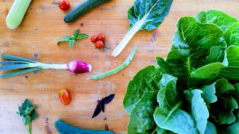 Immagine di DiversaMente fattoria a Santa Maria di Settimo, Calabria
