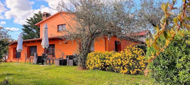 Immagine di Fattoria Del Quondam a Montecchio, Umbria