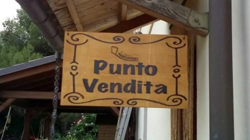 Immagine di Azienda agricola Agricassero - punto vendita a Ancona, Marche