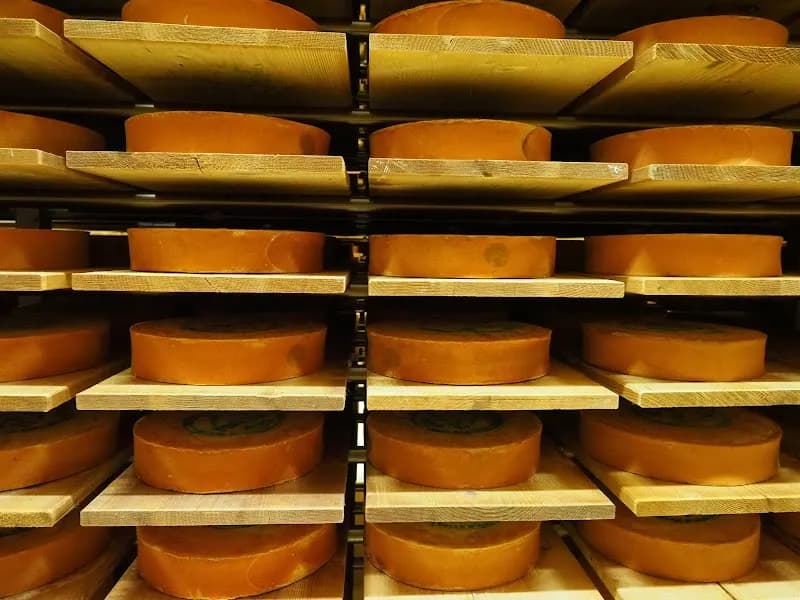 Immagine di Cooperativa Produttori Latte E Fontina - uffici amministrativi - no vendita dettaglio a Saint-Christophe, Valle d'Aosta