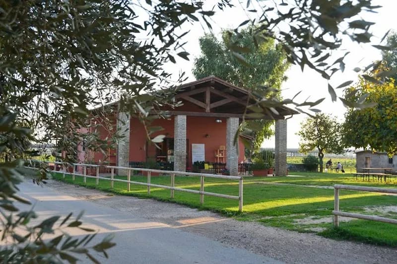 Immagine di Agricoltura Capodarco - Mistica a Roma, Lazio