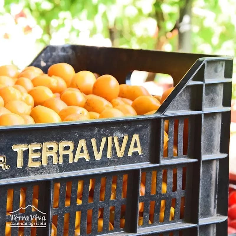 Immagine di Azienda Agricola Terraviva di Manfellotto Giovanna a Napoli, Campania