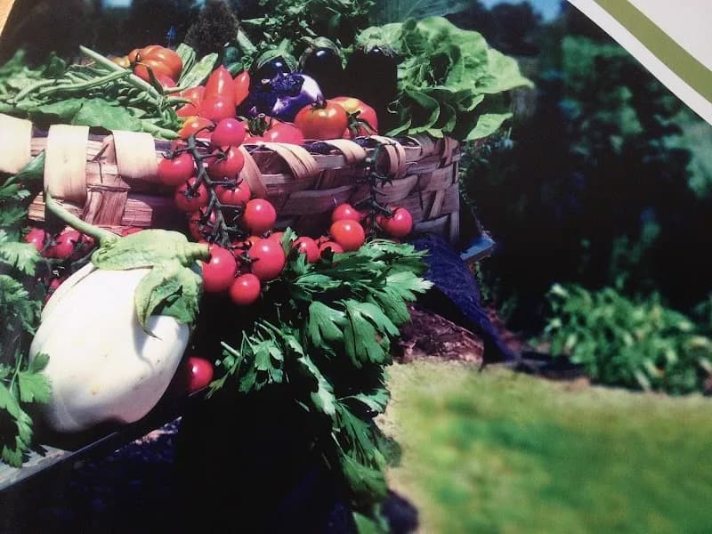 Immagine di Azienda agricola biologica Terra del sole a Latina, Lazio