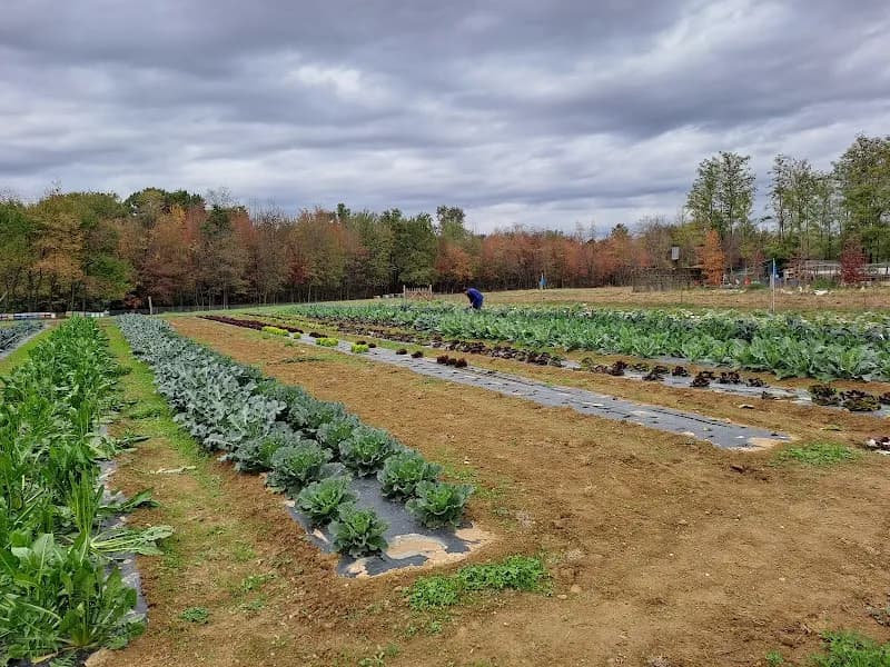 Immagine di Azienda Agricola “La Vecchia Brughiera” a Meda, Lombardia