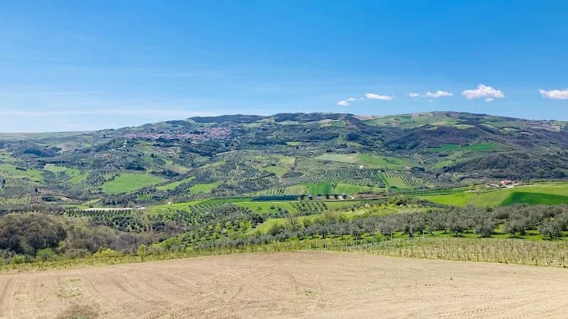 Immagine di Agribio Pantasia - azienda agricola biologica a Castellino del Biferno, Molise