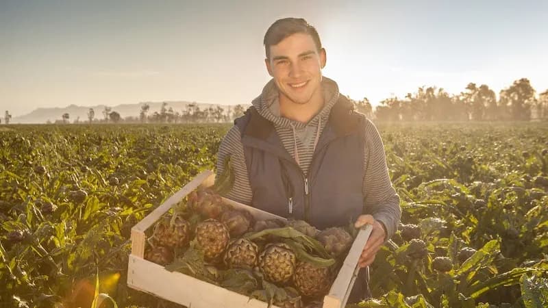 Immagine di Societa Semplice Agricola F.lli Piras a Villanovafranca, Sardegna