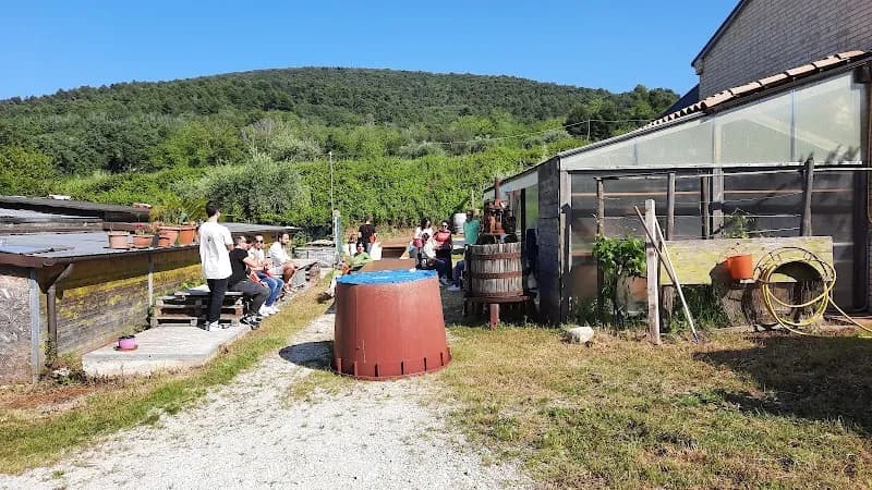 Immagine di Polenta Societa` Agricola a Ancona, Marche