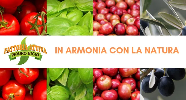 Immagine di Fattoria Attiva di Bigio Mauro - Agriturismo a Sanremo, Liguria