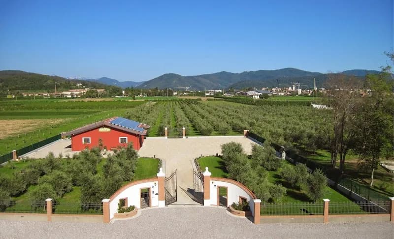 Immagine di Azienda agricola e Agriturismo Olio Ducale a Cividale del Friuli, Friuli-Venezia Giulia